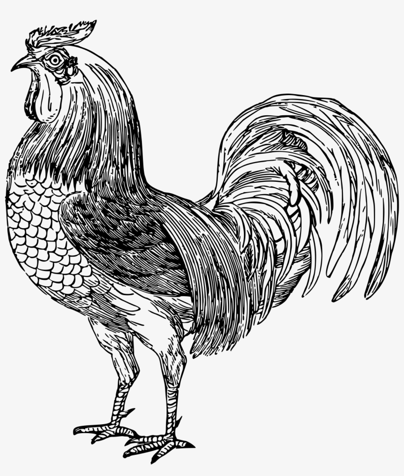 This Free Icons Png Design Of Hen 2, transparent png