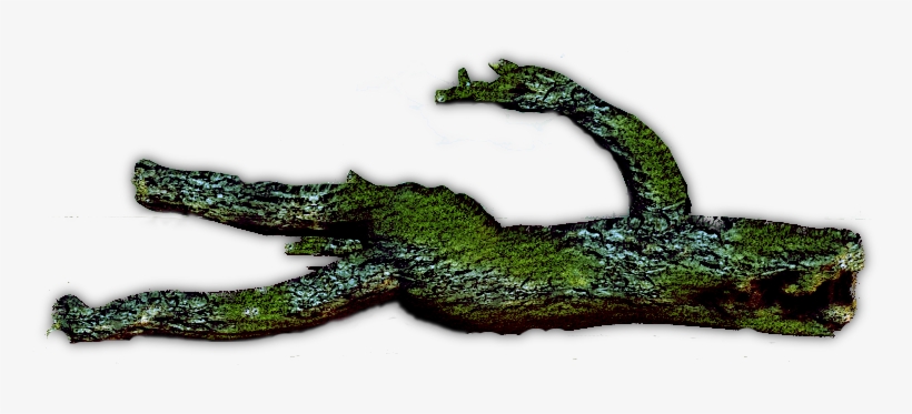 Decaying Log4 - Lizard, transparent png