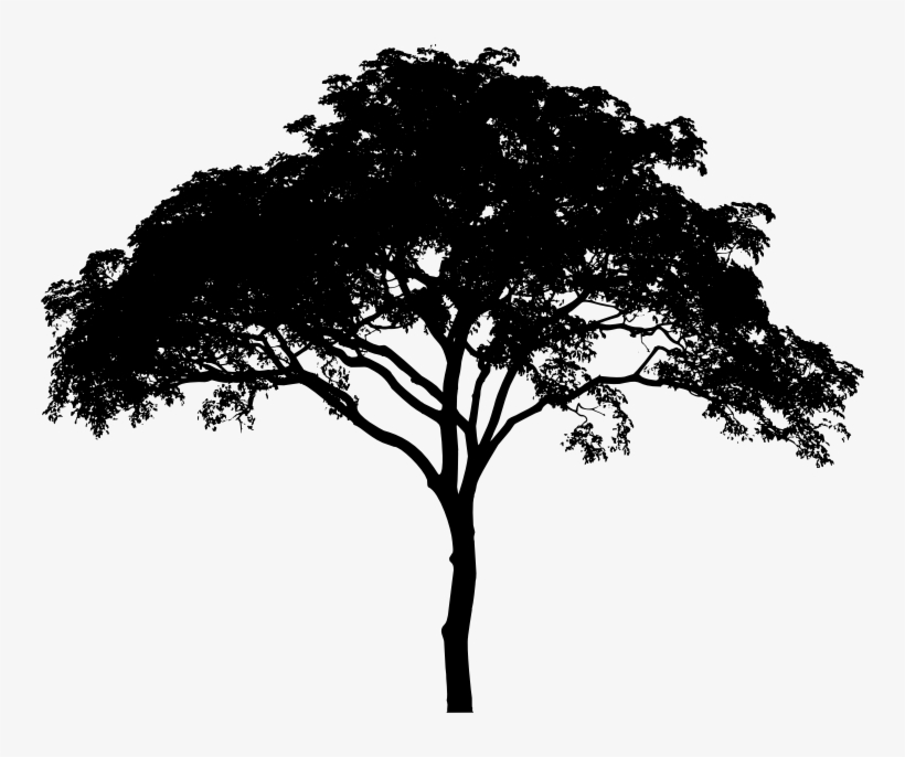 Tree Silhouette Free Download 10 Png Images - Tree Vector Black And