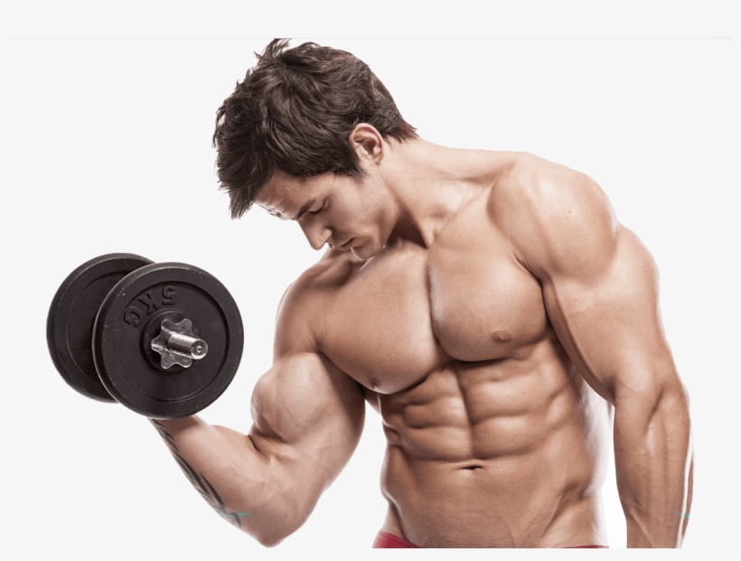 Muscle Guy Transparent Png Png Transparent - Six Pack And Biceps, transparent png