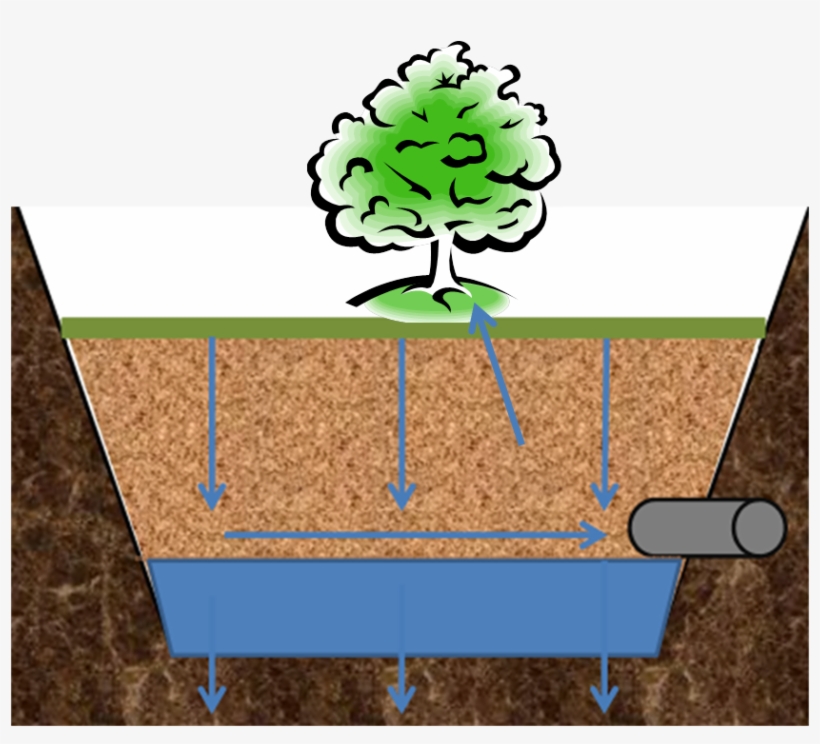 Tree Trench Schematic - Sighing Forth My Soul: Reflections Along A Journey, transparent png