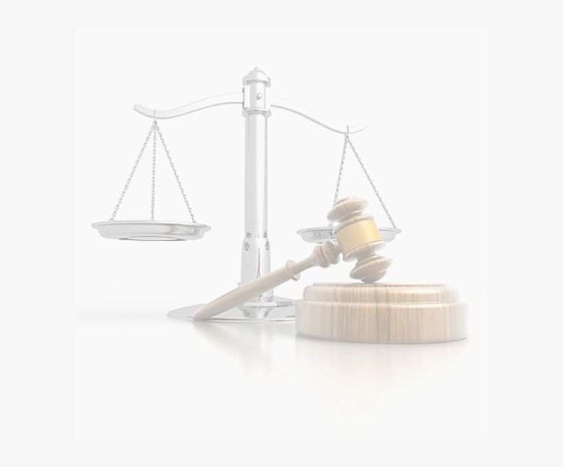 Jury - Still Life Photography, transparent png