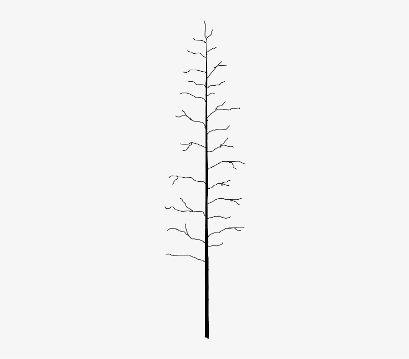 Tree, Trunk, Dead, Bare-faced, Bare, Fir - Tree, transparent png