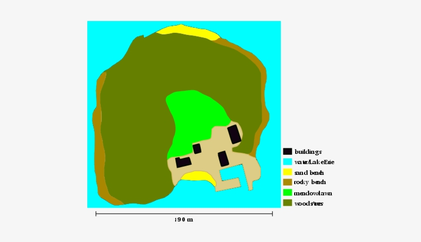 Hen - Hen Island, transparent png