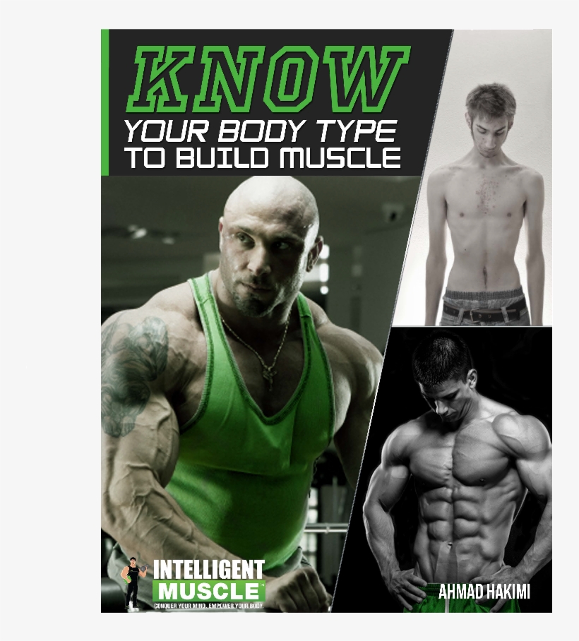 Know Your Bodytype To Build Muscle - Università Degli Studi Niccolò Cusano, transparent png