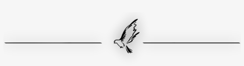 Dove Divider - Portable Network Graphics, transparent png