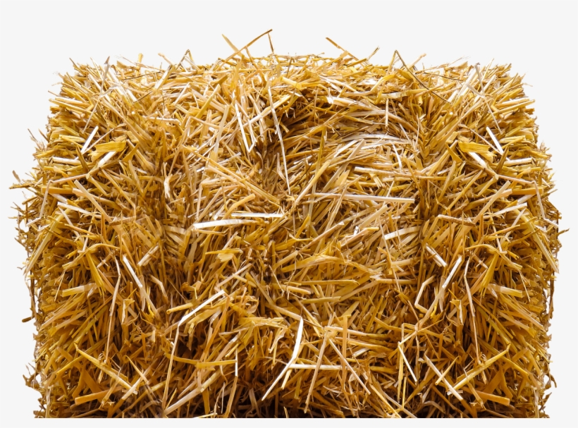 Miscellaneous - Bales - Hay Bale Png, transparent png
