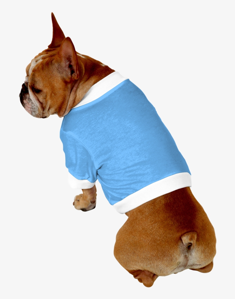Clip Art Boxer French Bulldog - Bulldog, transparent png