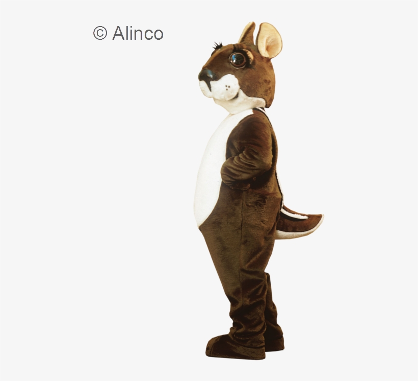 Chipmunk Costume, transparent png