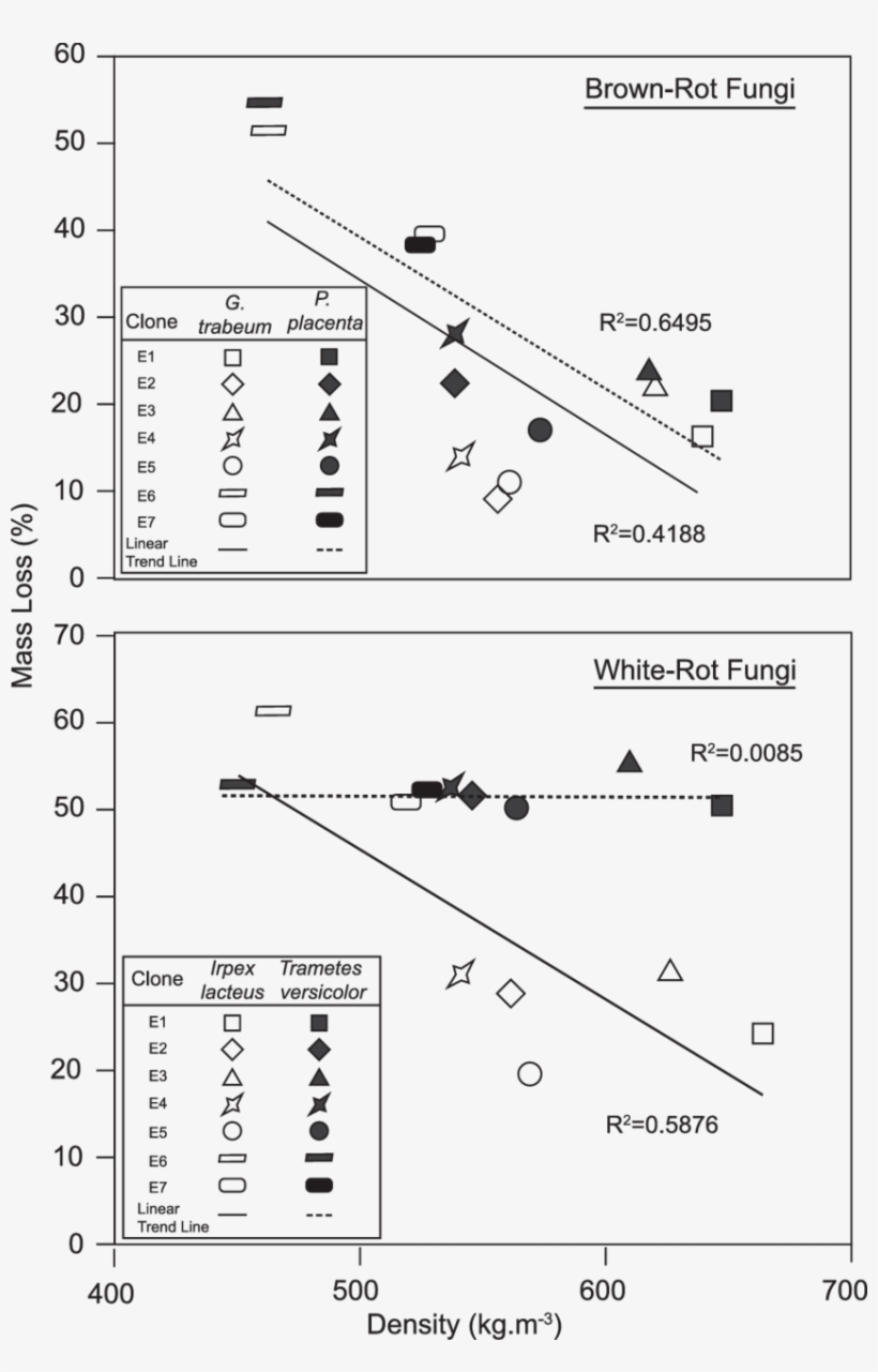 Correlation Between Density And Mass Loss For The Eucalyptus, transparent png