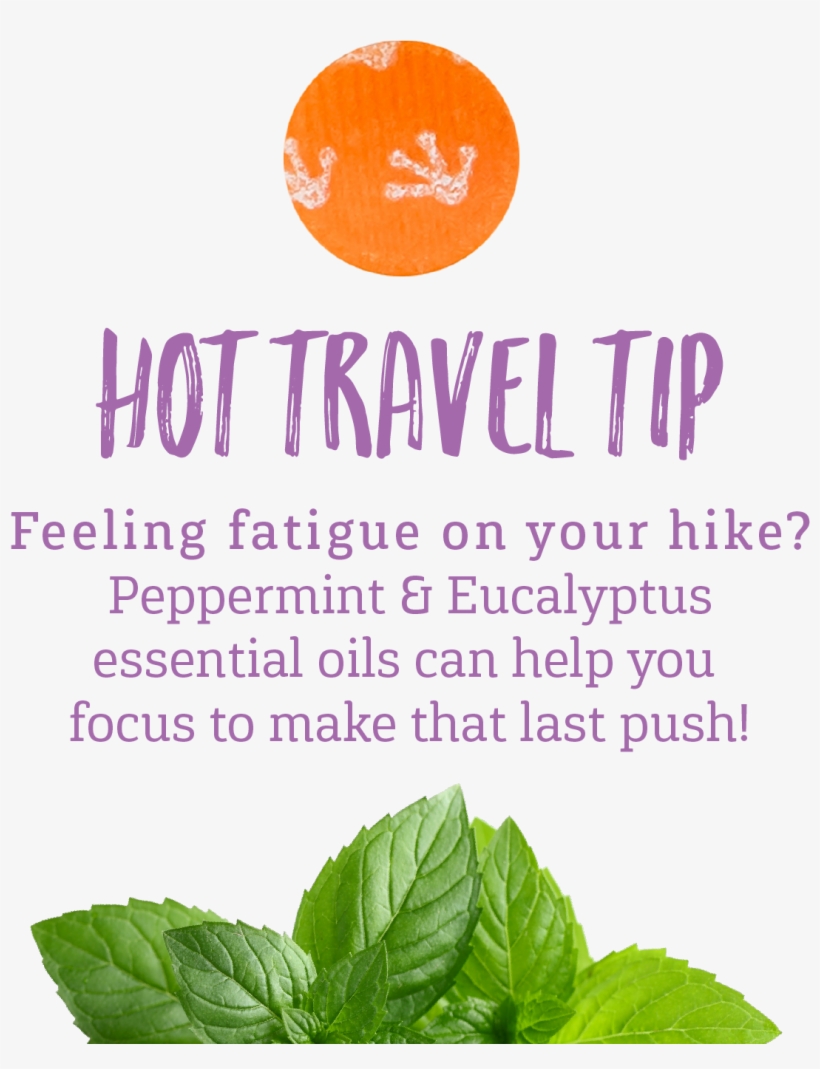 Purple Frog Products On Twitter - Shaved My Legs, transparent png