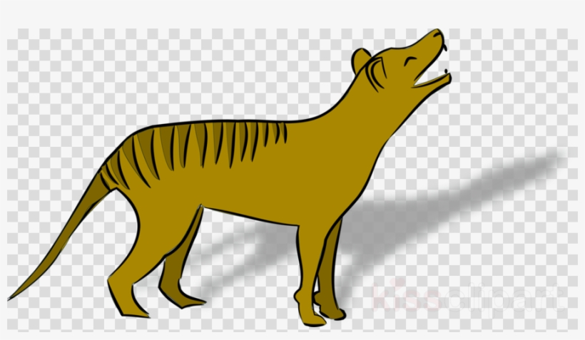 Thylacine Clipart Tasmanian Devil Thylacine - Png Clipart Flash Light, transparent png