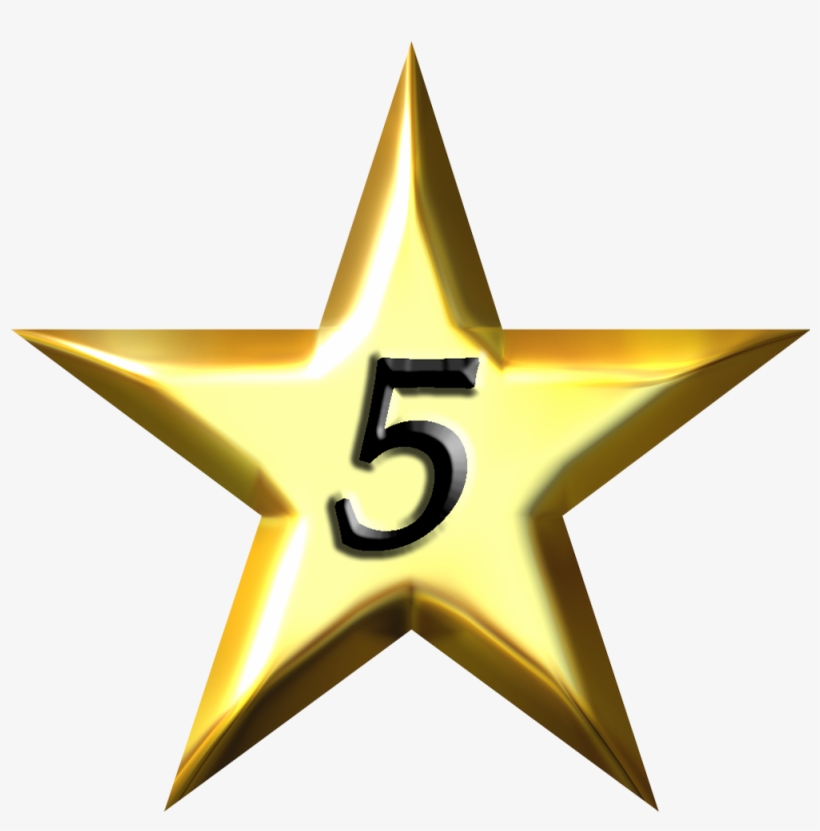 Best Summer Fun We Have Had - Star Tulip Aviation, transparent png