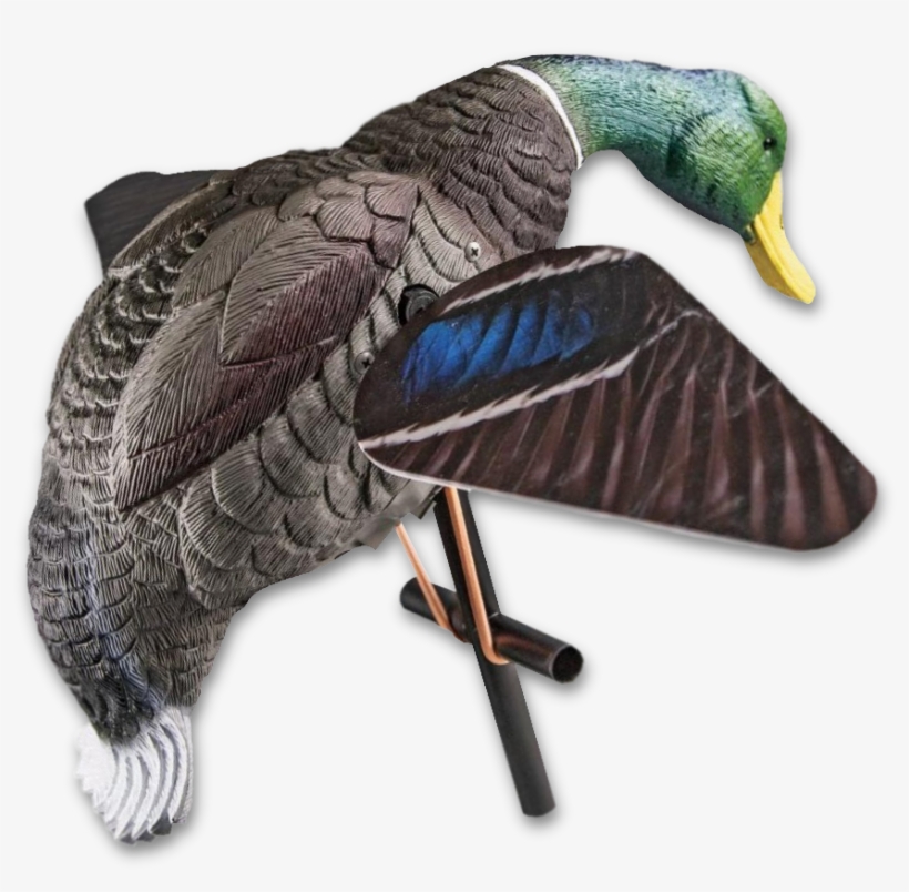 Duck Hunting Png Hd Pluspng - Lucky Duck Lucky Hd With Remote - Lucky Duck - Motion, transparent png