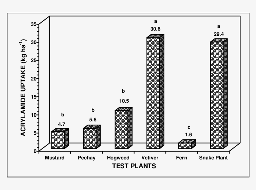 Comparative Amount Of Acrylamide Uptake Among The Different, transparent png
