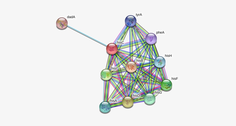 Circle, transparent png