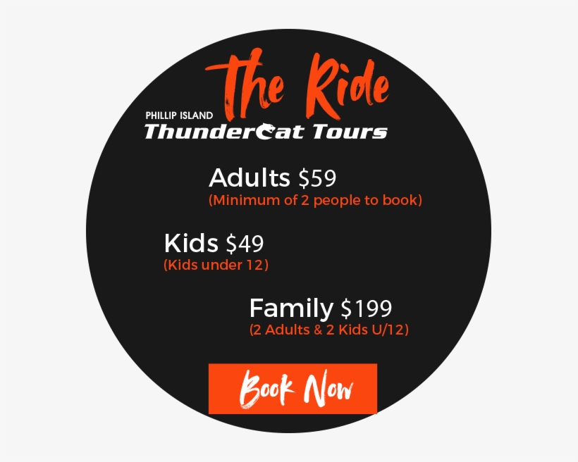 If You Have 4 Or More Adults The Drift Jet Boat Is, transparent png