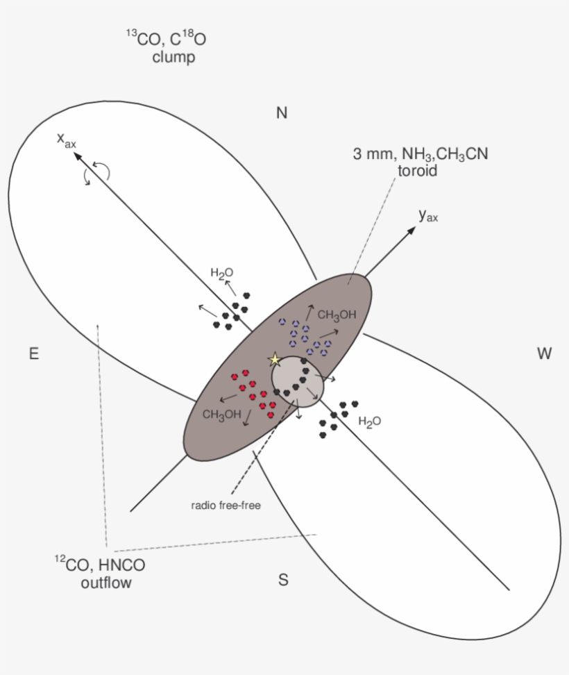 Schematic Cartoon Of The Main Components In The Molecular - Drawing, transparent png