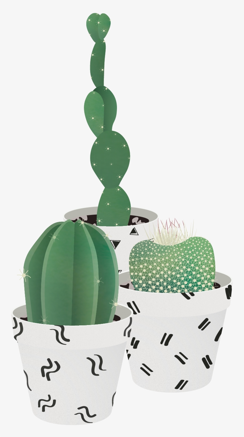 Pin By Huang - Succulent Plant, transparent png