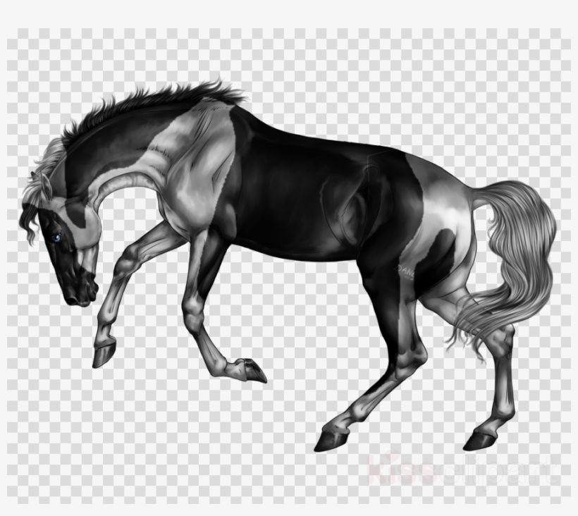 Bridle Clipart Mane Bridle Mustang - Stallion, transparent png