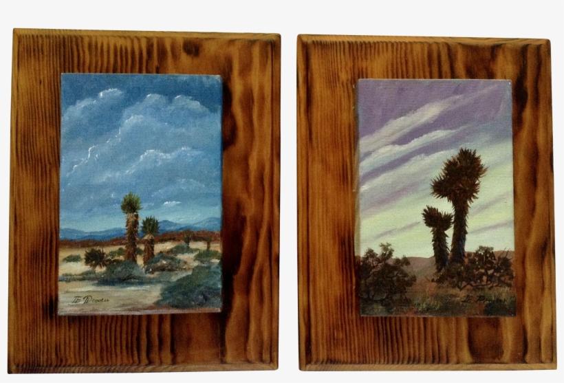 E Proctor, Desert Yucca Thompsoniana In Barren Texas - Picture Frame, transparent png