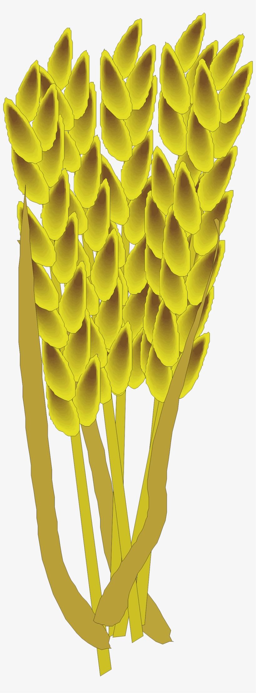 Clip Free Library Barley Vector Paddy Grain - Rice, transparent png