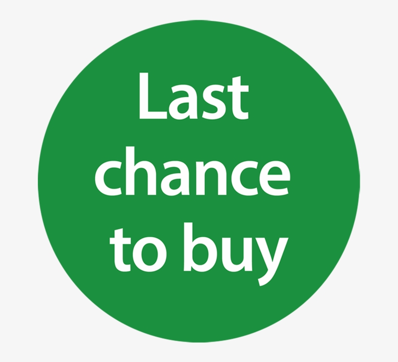 Yuletide Puppies - 100 Days For Change, transparent png