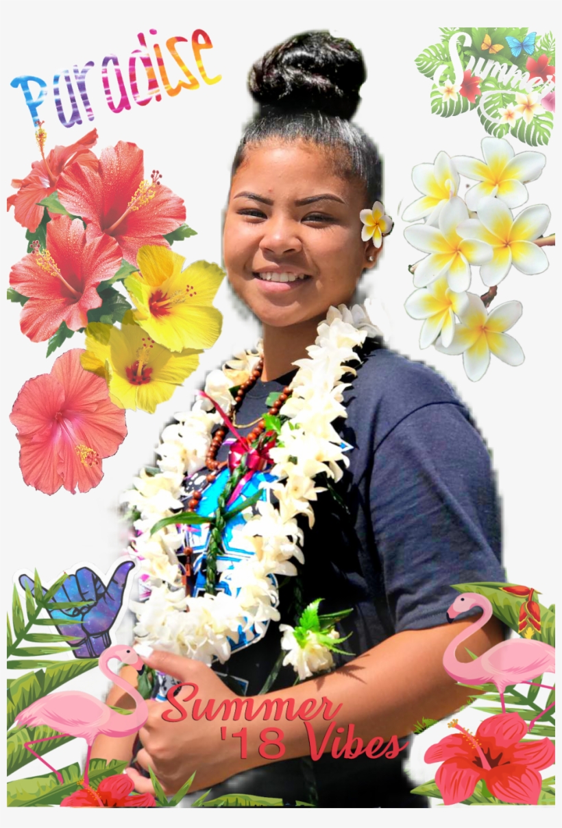 Paradise Summer Summertime Saipan Plumeria Hibiscus - Frangipani, transparent png