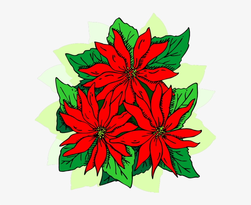 Jpeg, transparent png