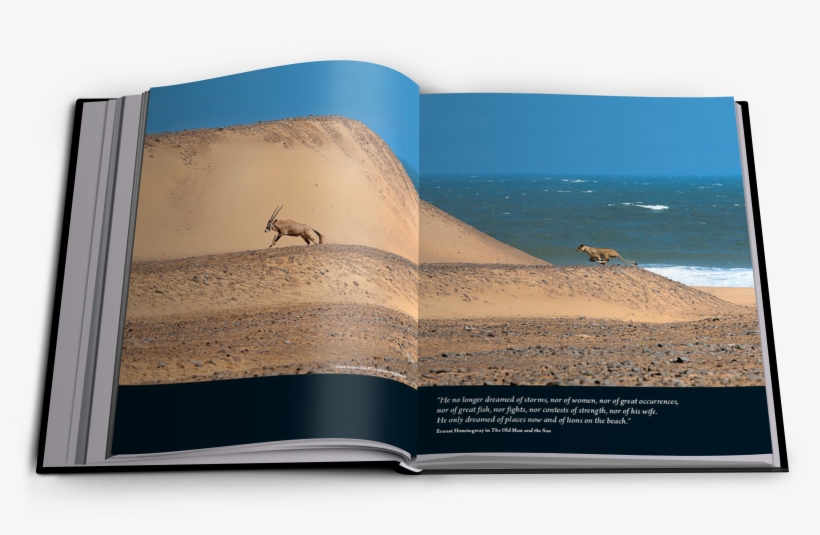 3 - Vanishing Kings – Lions Of The Namib, transparent png