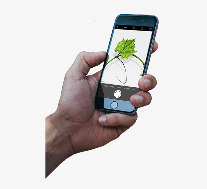 Pinterest Updates Its Image Search - Concrete, transparent png