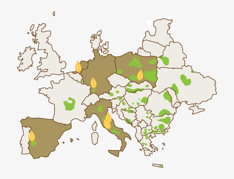 Map - Universal Leaf Tobacco Company, transparent png