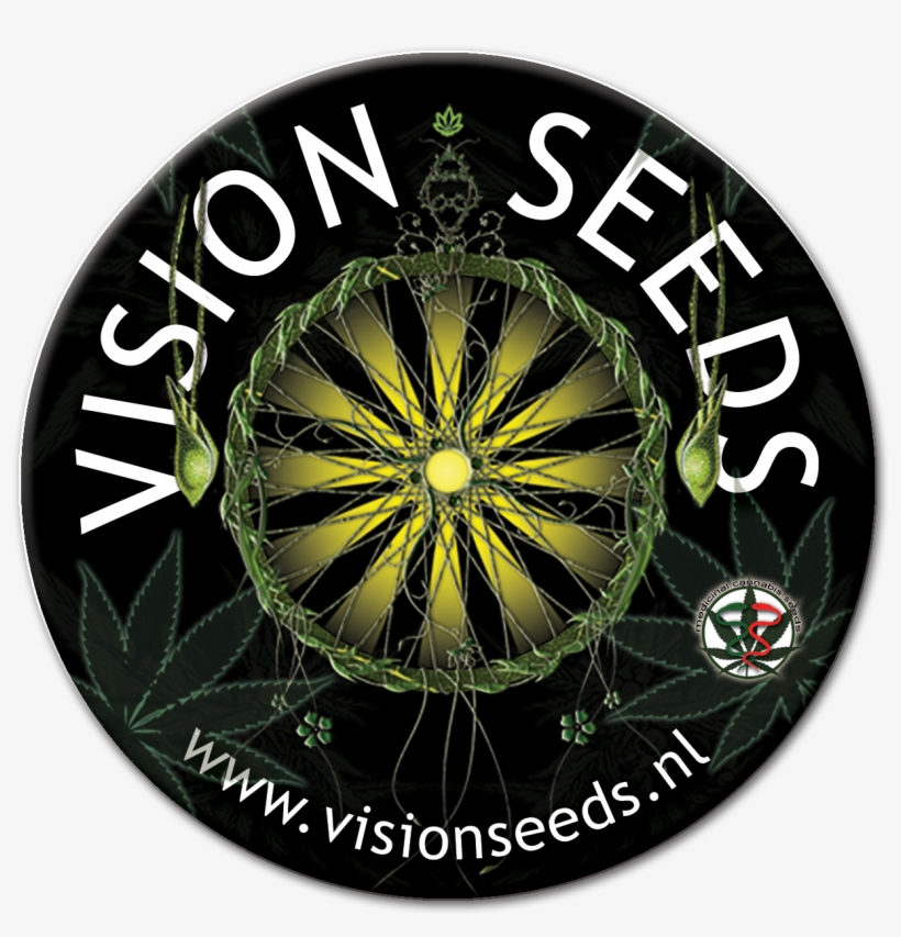 Amnesia Počet Ks Feminizované - Vision Seeds, transparent png