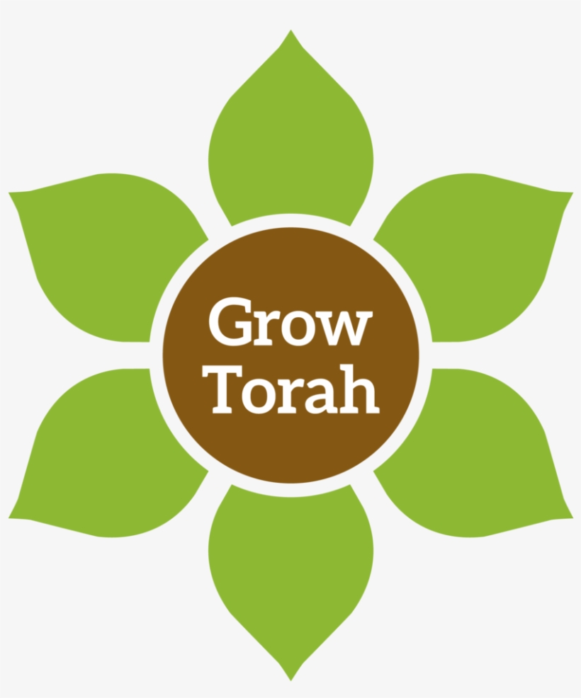 Torah Png, transparent png