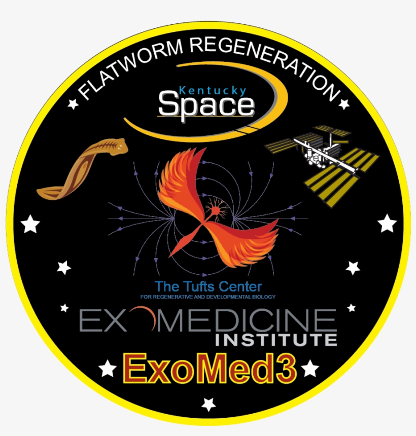 Mission Patch - Flatworm, transparent png