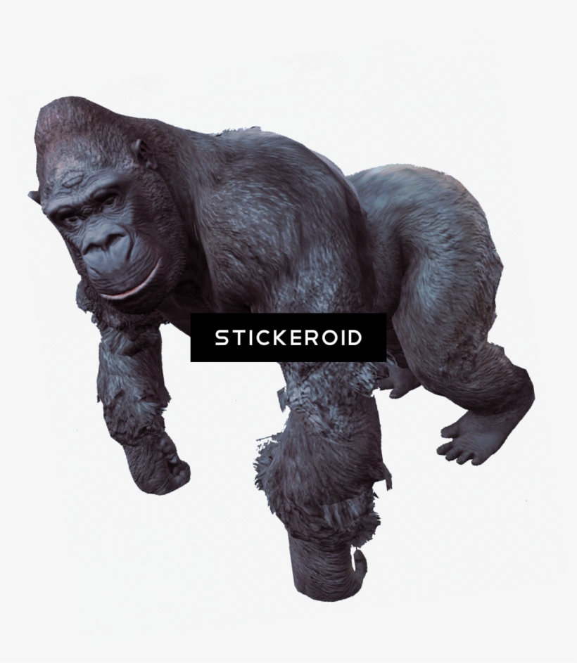 Gorilla, transparent png