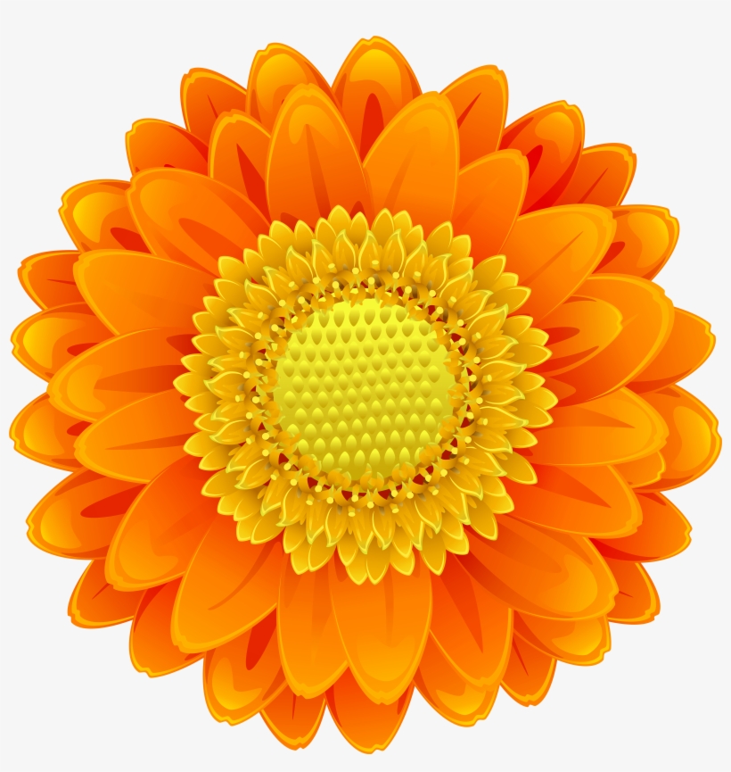 Suggested User Instagram, transparent png