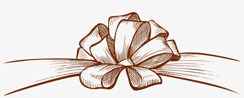 Clip Art Transparent Butterfly Shoelace Knot Ribbon - Bow Ribbon Drawing, transparent png