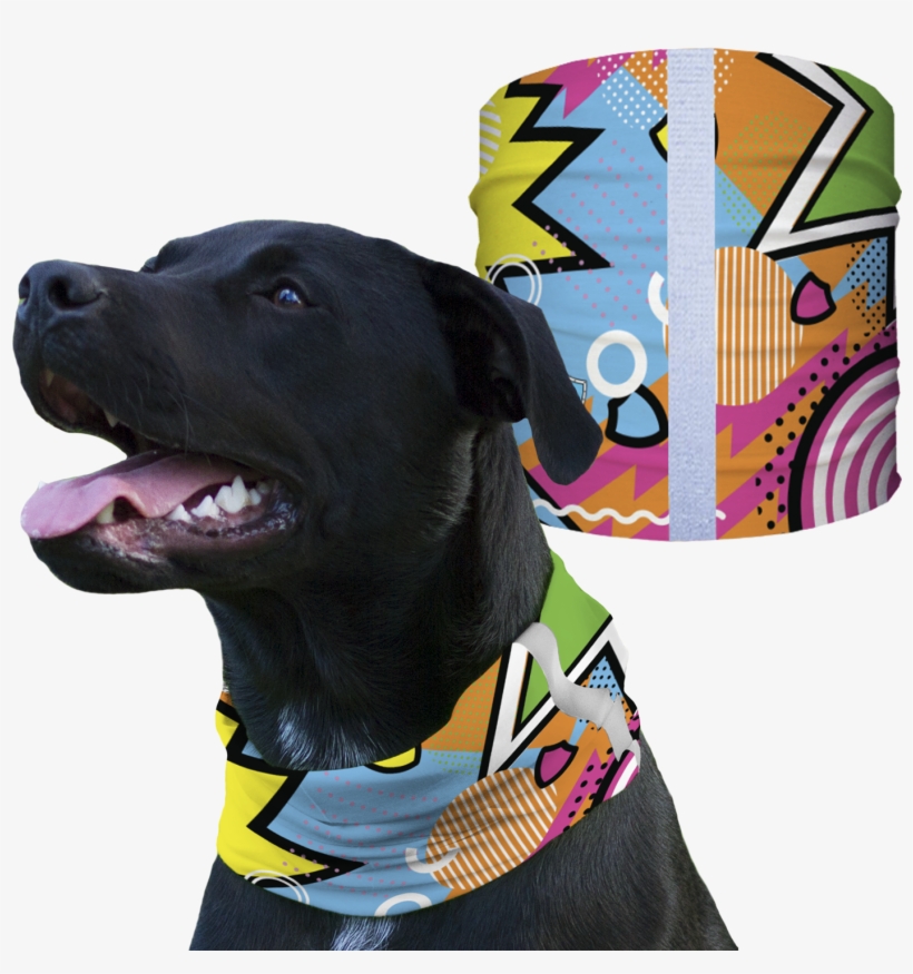 Home - Dog Confederate Flag Shirt, transparent png