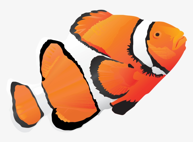 Animal, Vector, Vector Pack - Peces De Agua Salada Png, transparent png