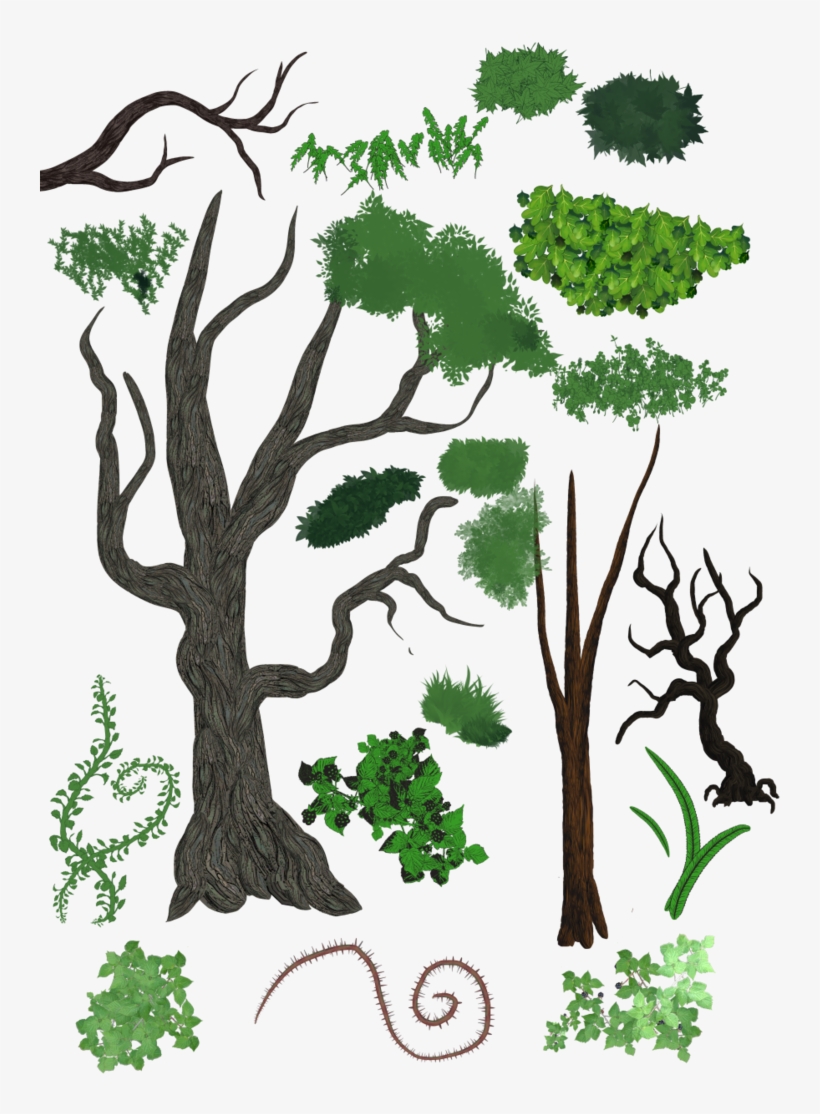 Jpg Free Clip Studios Leaf Brush - Tree, transparent png