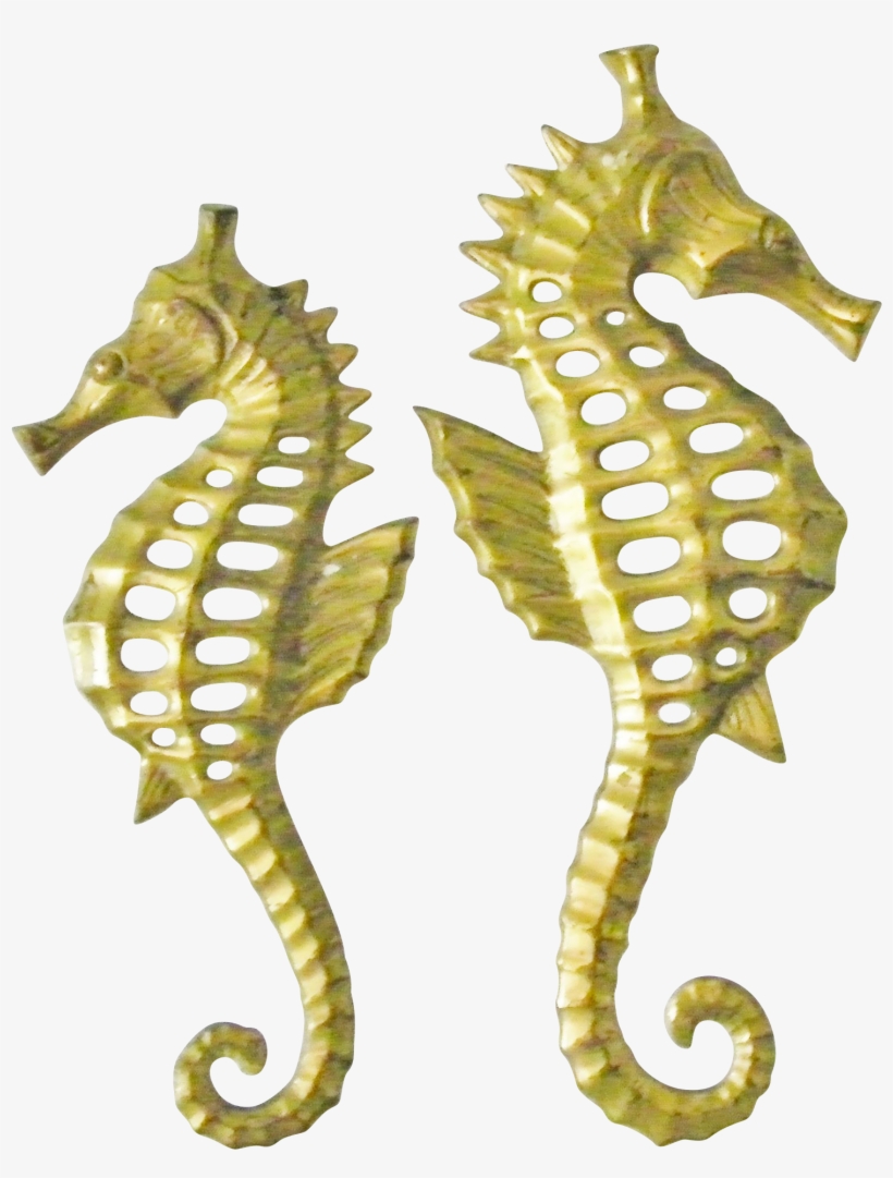 Seahorse, transparent png