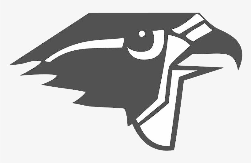 Falcons Logo Png Download - Burlington Township High School Falcon, transparent png