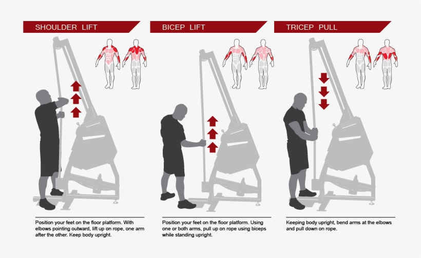 Respiratory System And Increase The Size And Strength - Poster, transparent png
