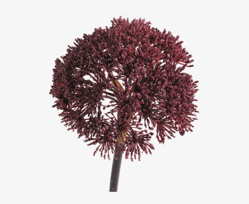 Bishop's Lace Burgundy - Bishop's Lace Burgundy Faux Flower, transparent png