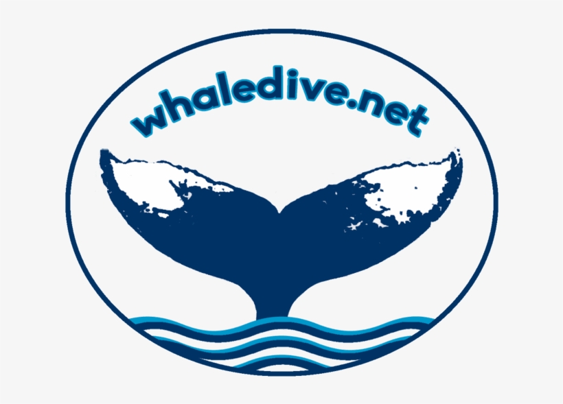 Call Now, transparent png