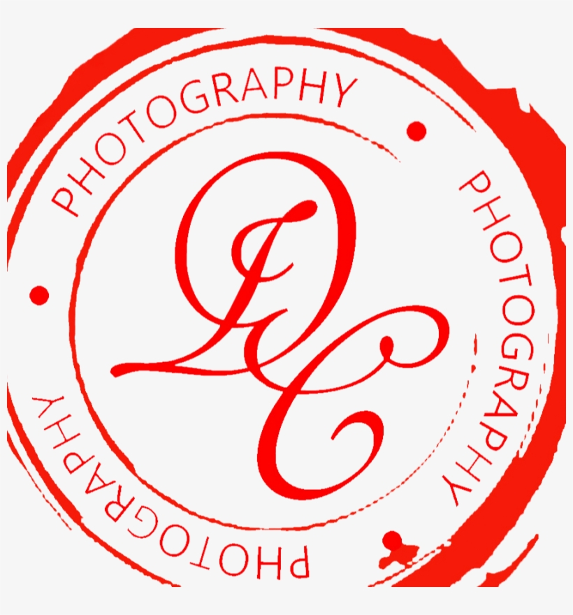 Campbell Brand Photography - Vvs Sardar Patel High School, transparent png