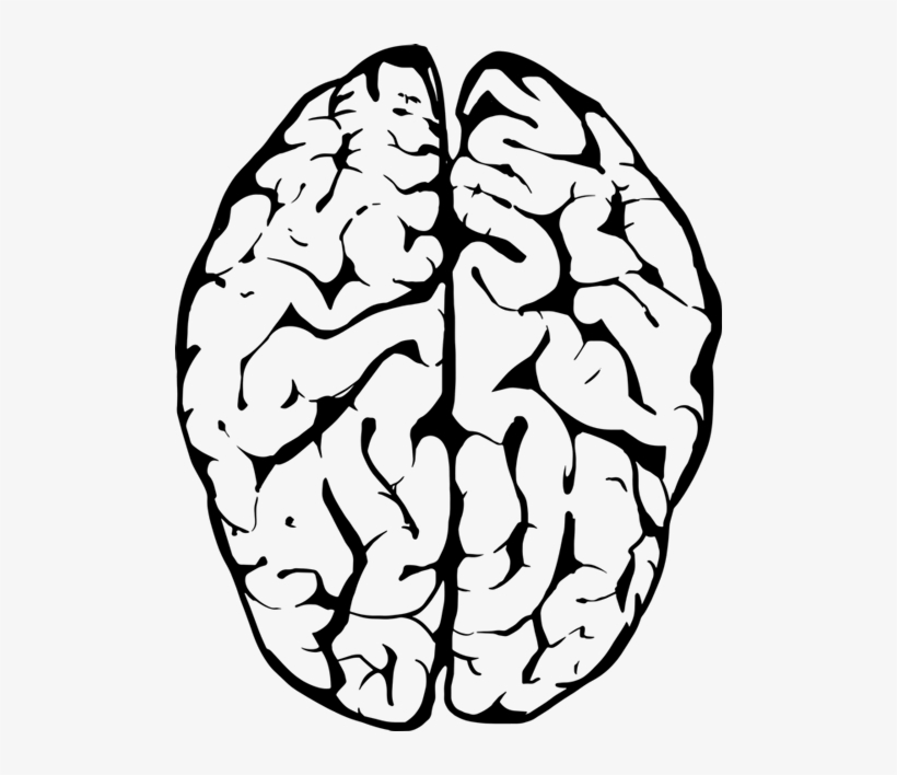 When Big Brands Have A Creative Log Jam, Or It's Just - Transparent Background Brain Clipart, transparent png