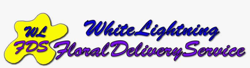 White Lightning Floral Delivery Service - World's Best Kindergarten Teacher Shower Curtain, transparent png
