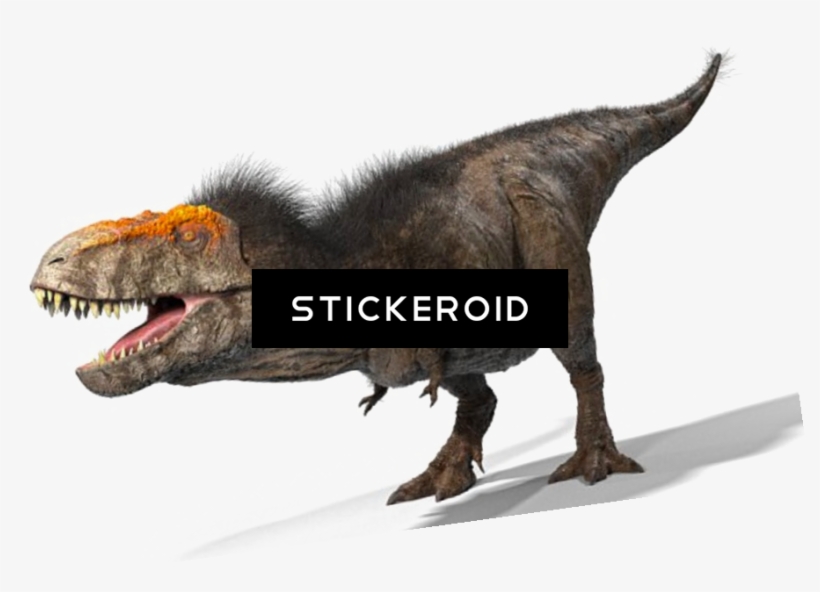 T Rex Animals Dinosaur Reptile - Tyrannosaurus, transparent png